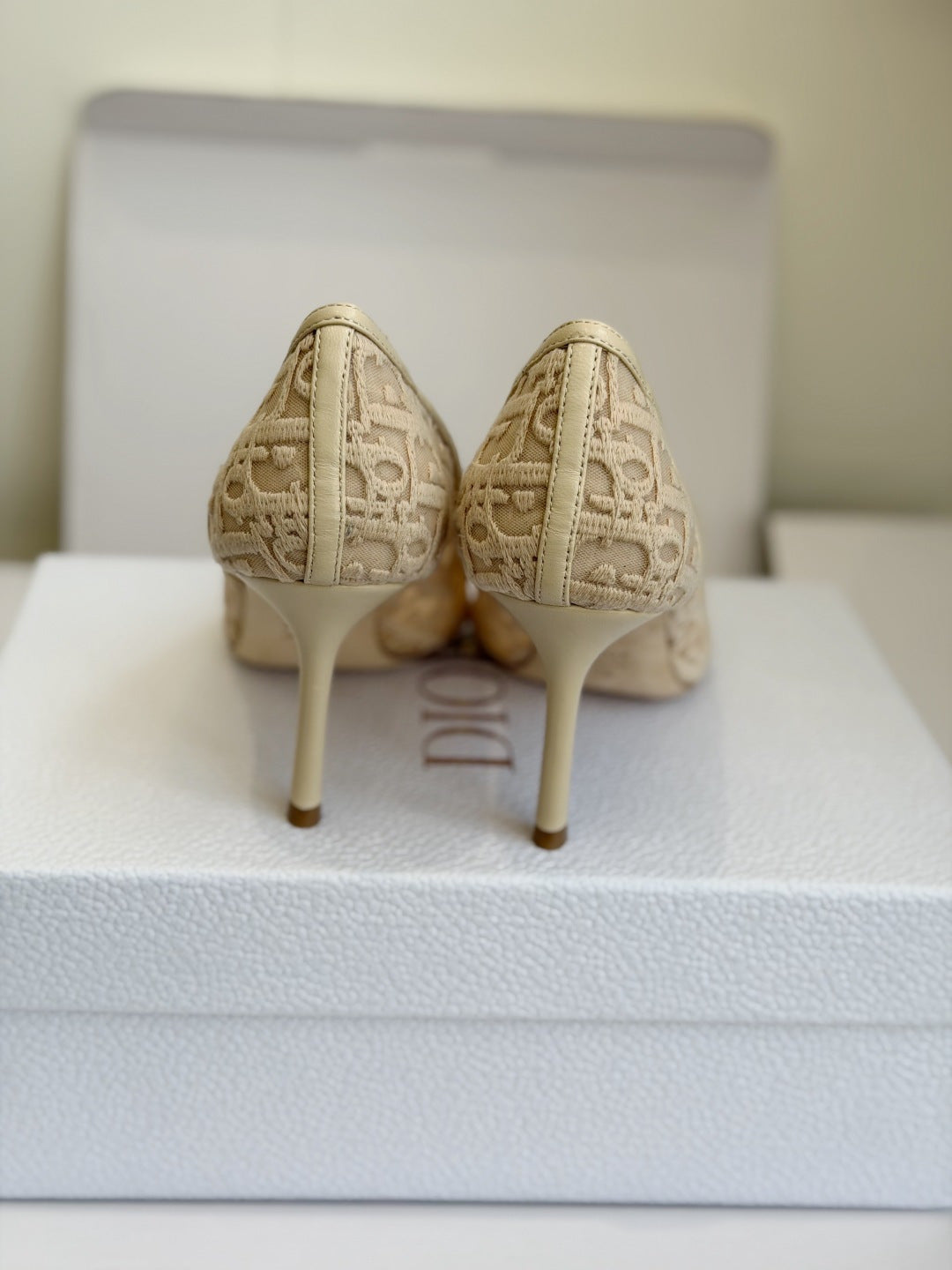 Scarpin Christian Dior