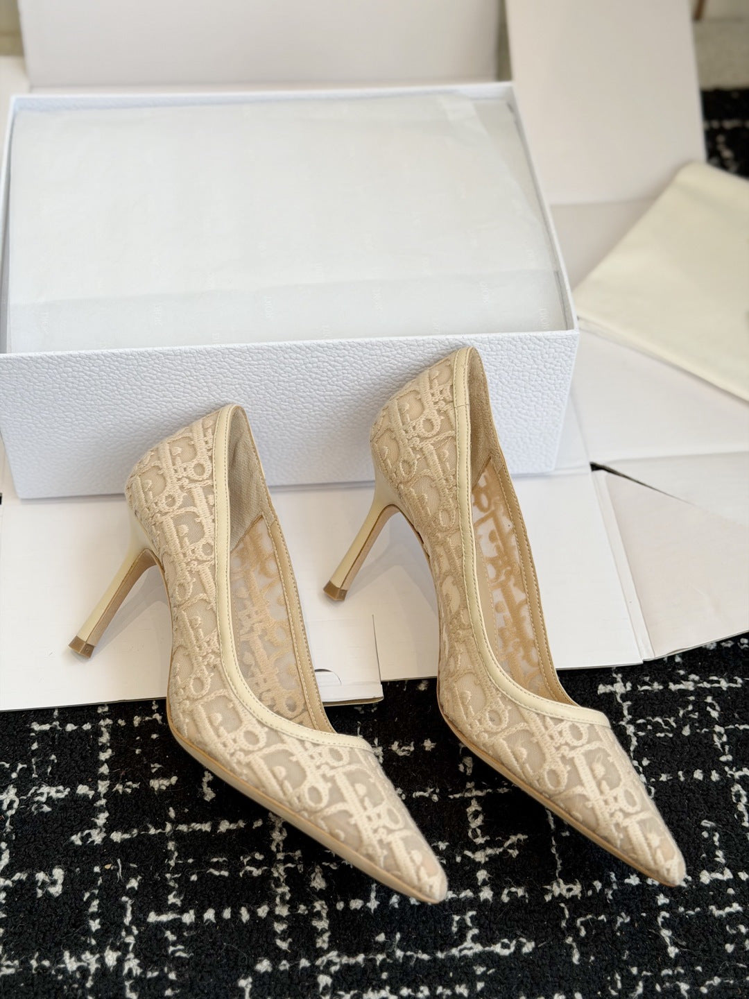 Scarpin Christian Dior