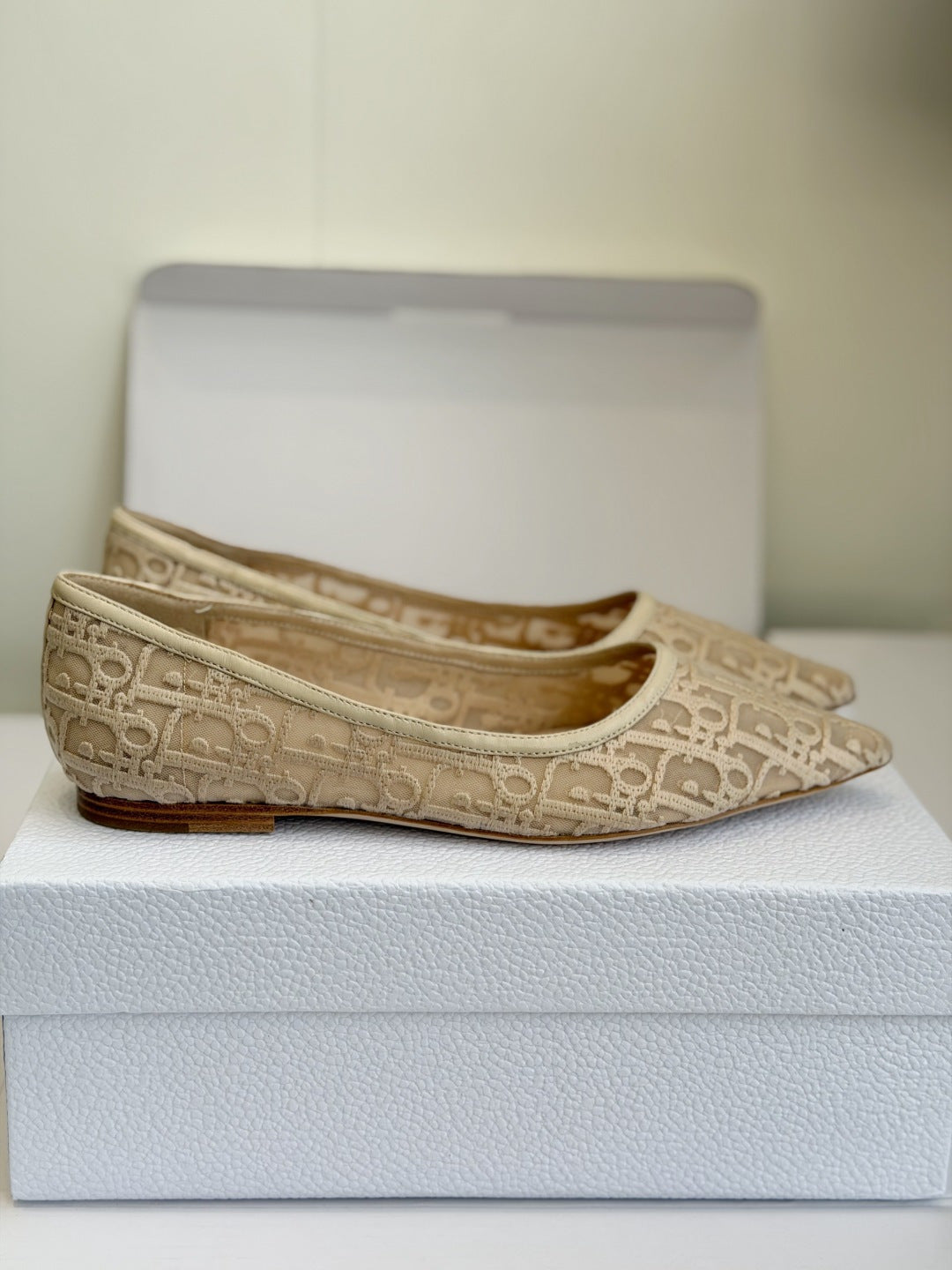 Sapatilha Christian Dior