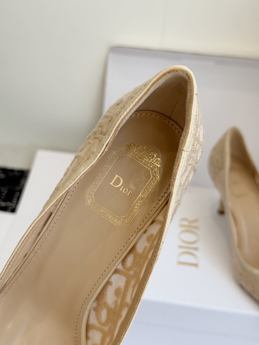 Scarpin Christian Dior
