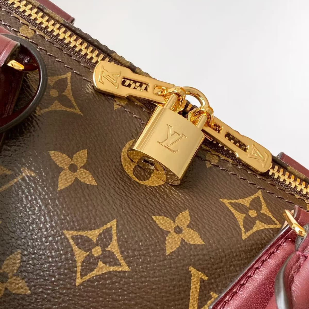 Bolsa Louis Vuitton Speedy Celebration