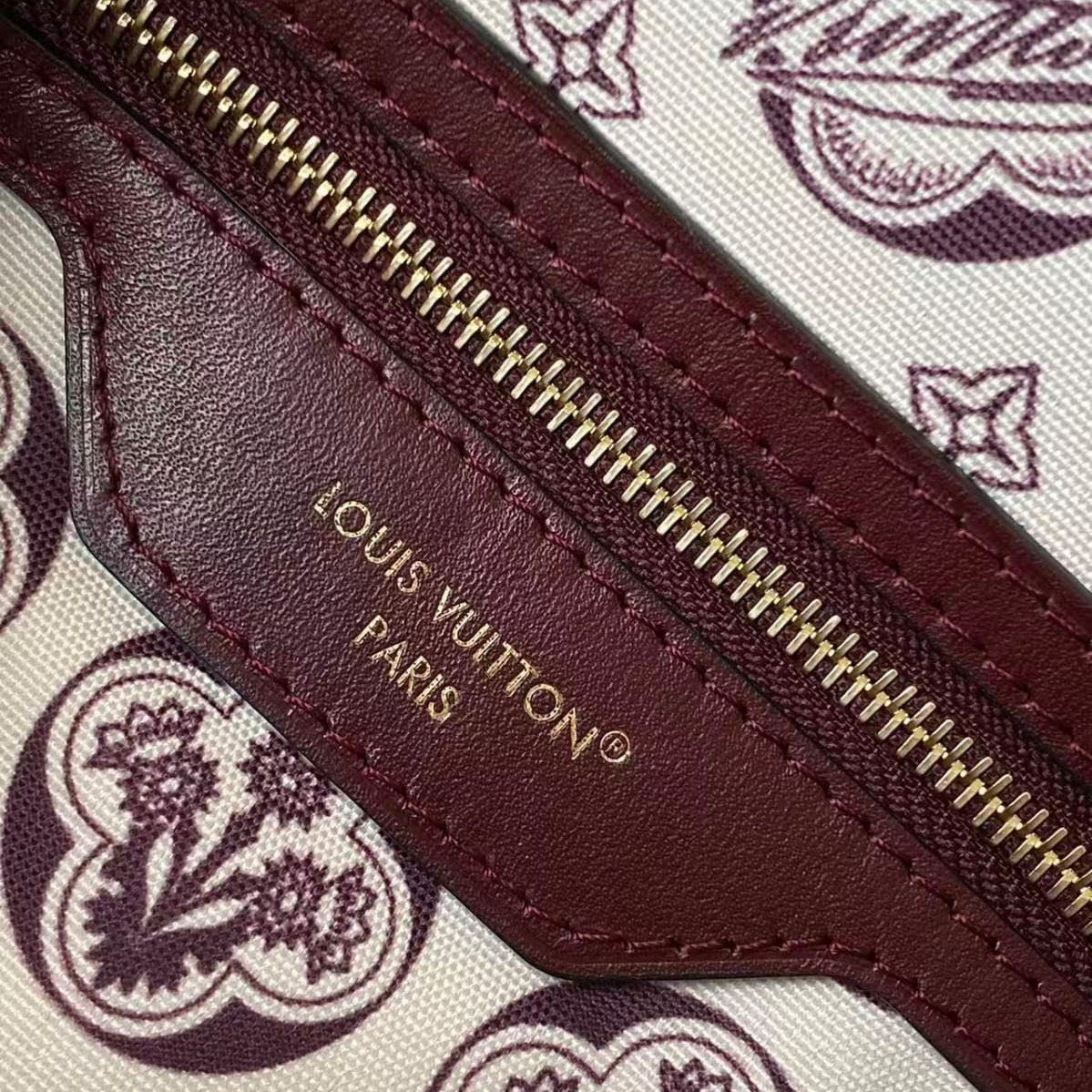Bolsa Louis Vuitton Speedy Celebration
