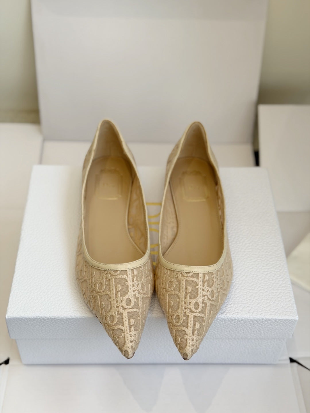 Sapatilha Christian Dior