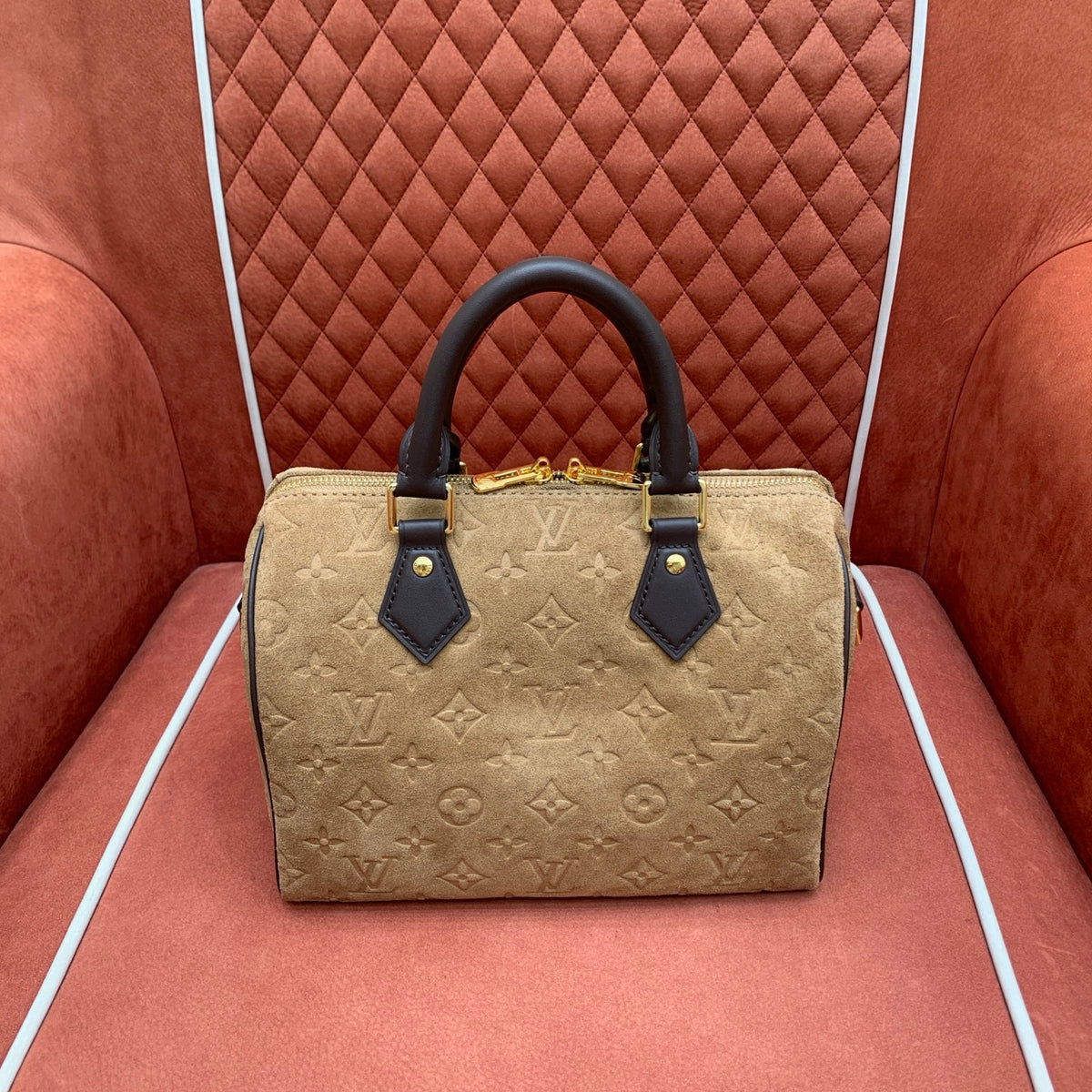 Bolsa Louis Vuitton Speedy 25 - 25 cm