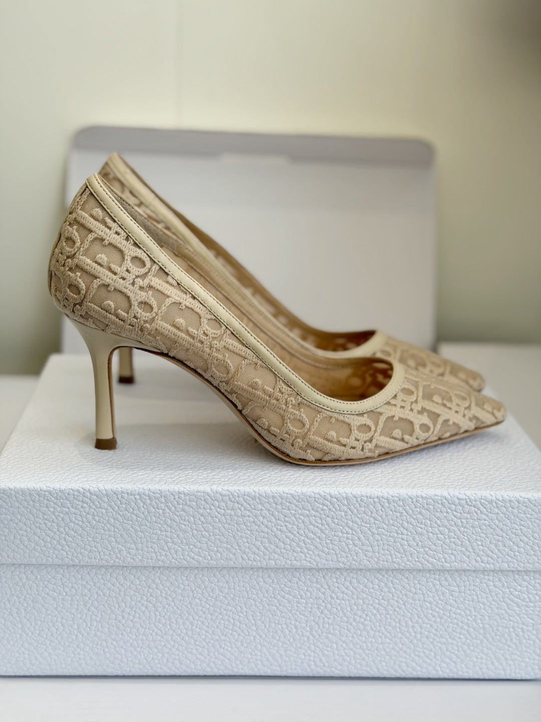 Scarpin Christian Dior
