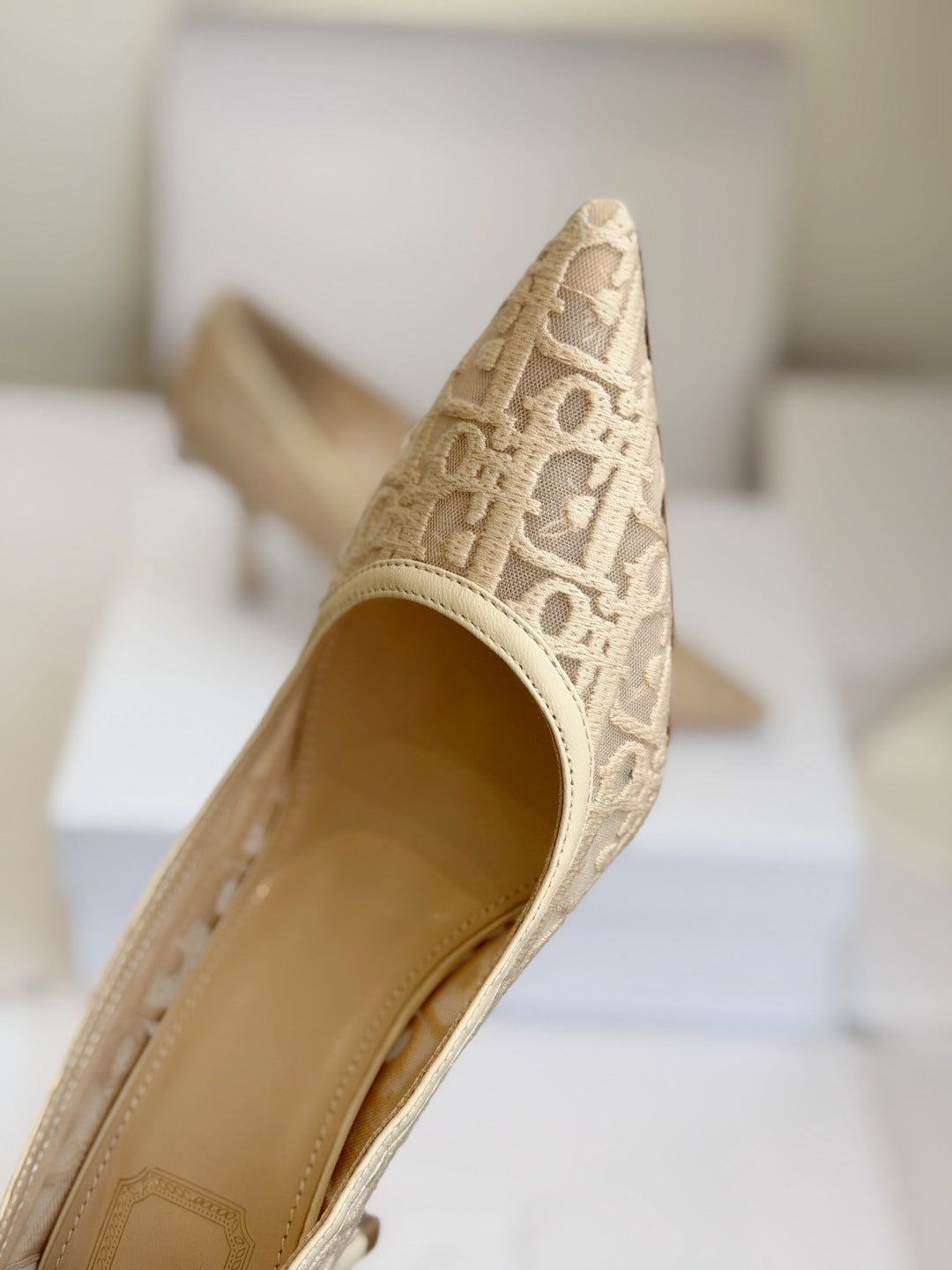 Scarpin Christian Dior
