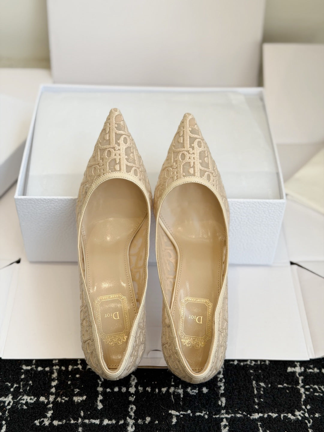 Scarpin Christian Dior