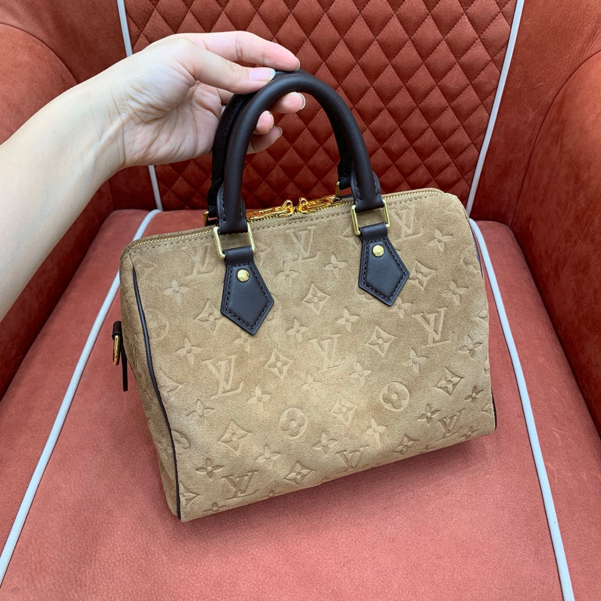 Bolsa Louis Vuitton Speedy 25 - 25 cm