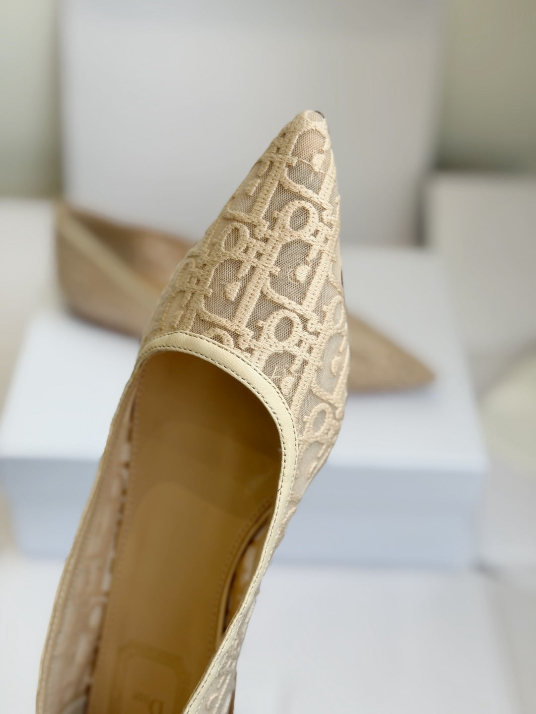 Sapatilha Christian Dior