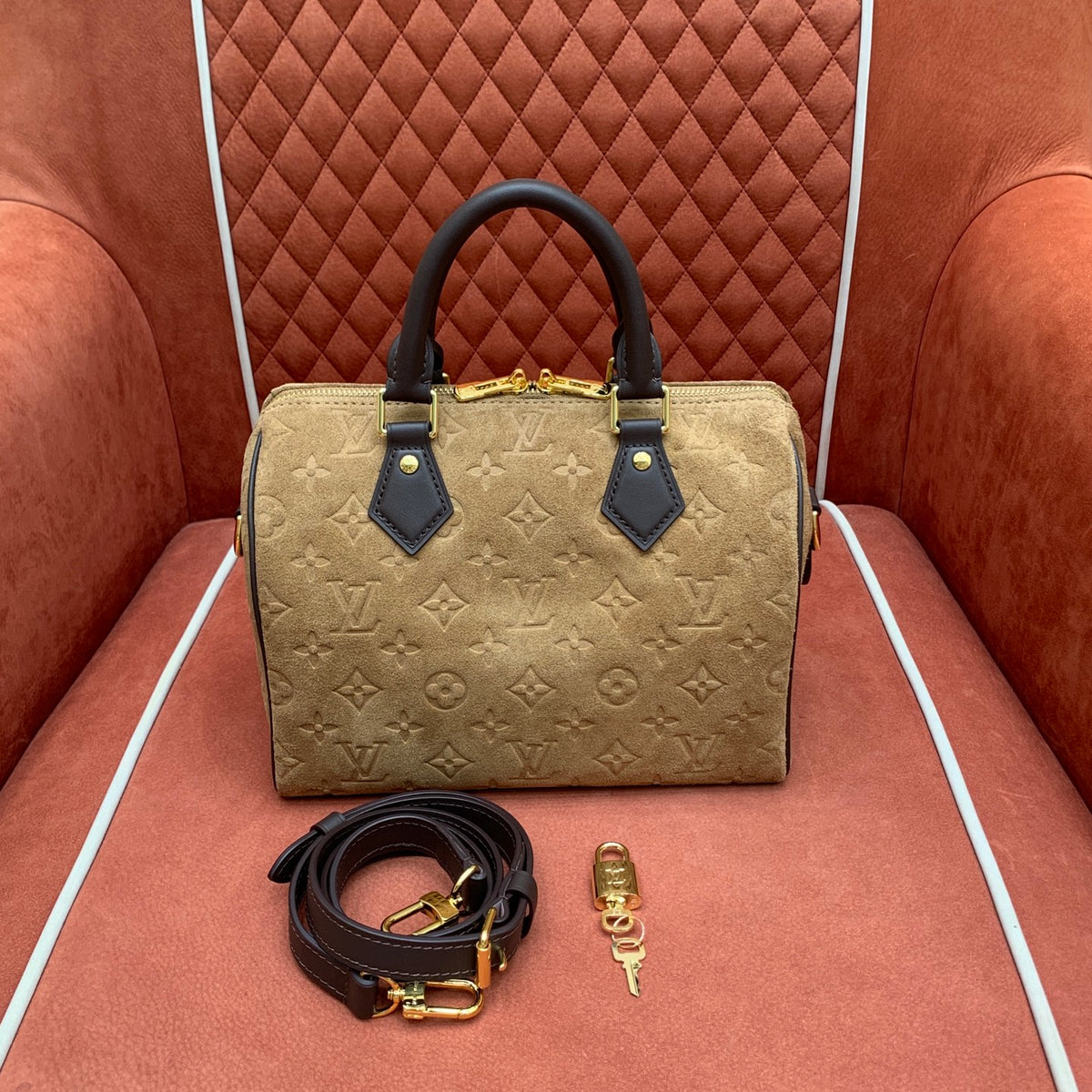Bolsa Louis Vuitton Speedy 25 - 25 cm