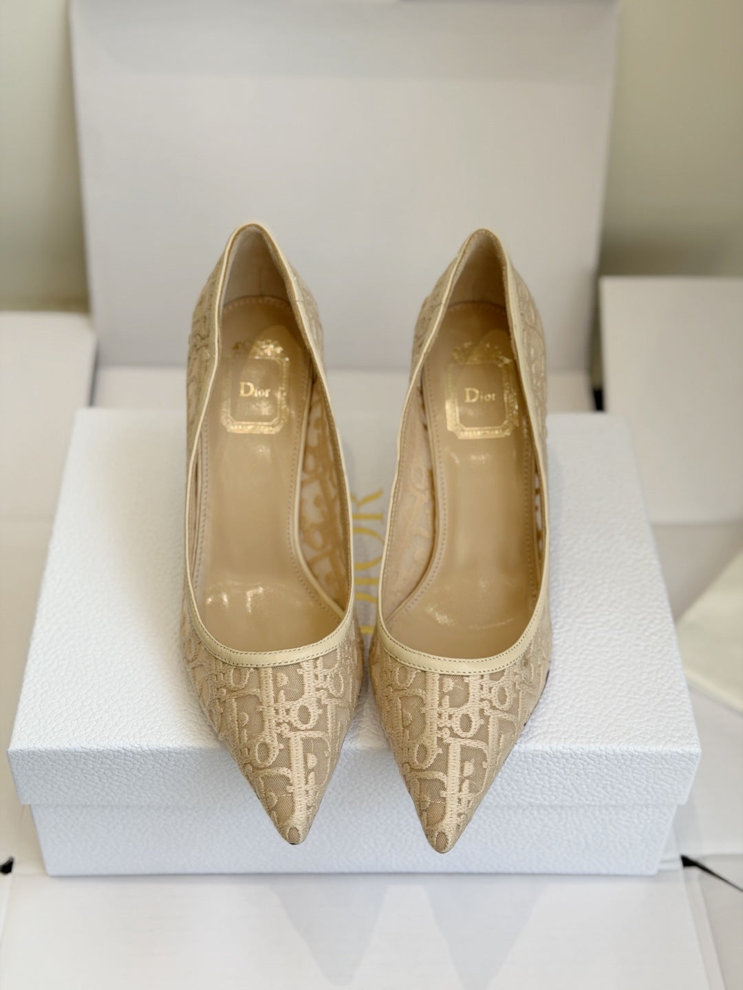 Scarpin Christian Dior