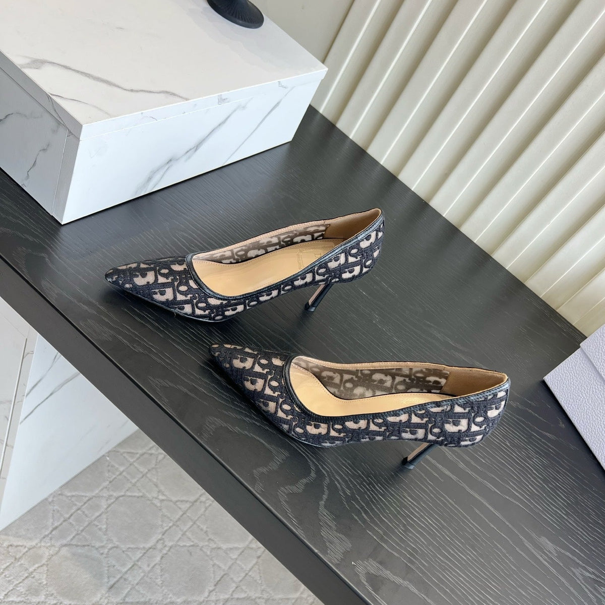 Scarpin Christian Dior